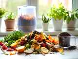 Artigos: Composteira expressa no apartamento: transforme seus resíduos de cozinha em ouro para suas plantas!