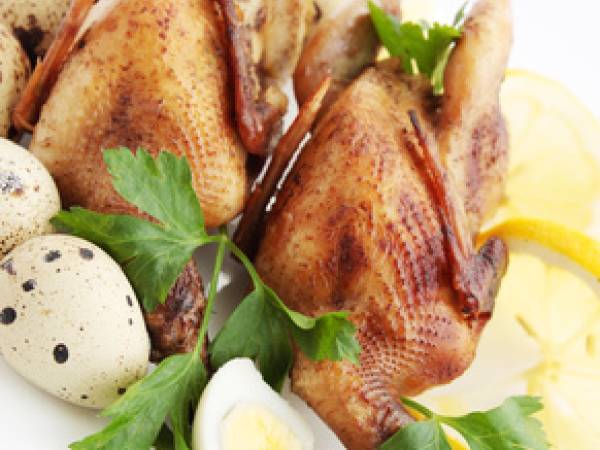 receitas codorna