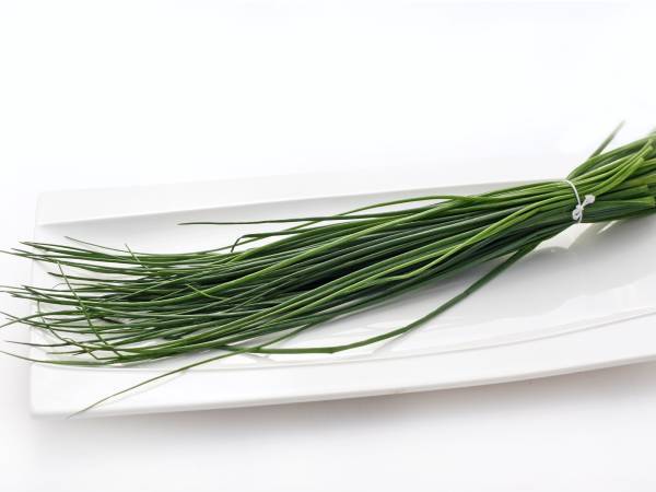 receitas cebolinha